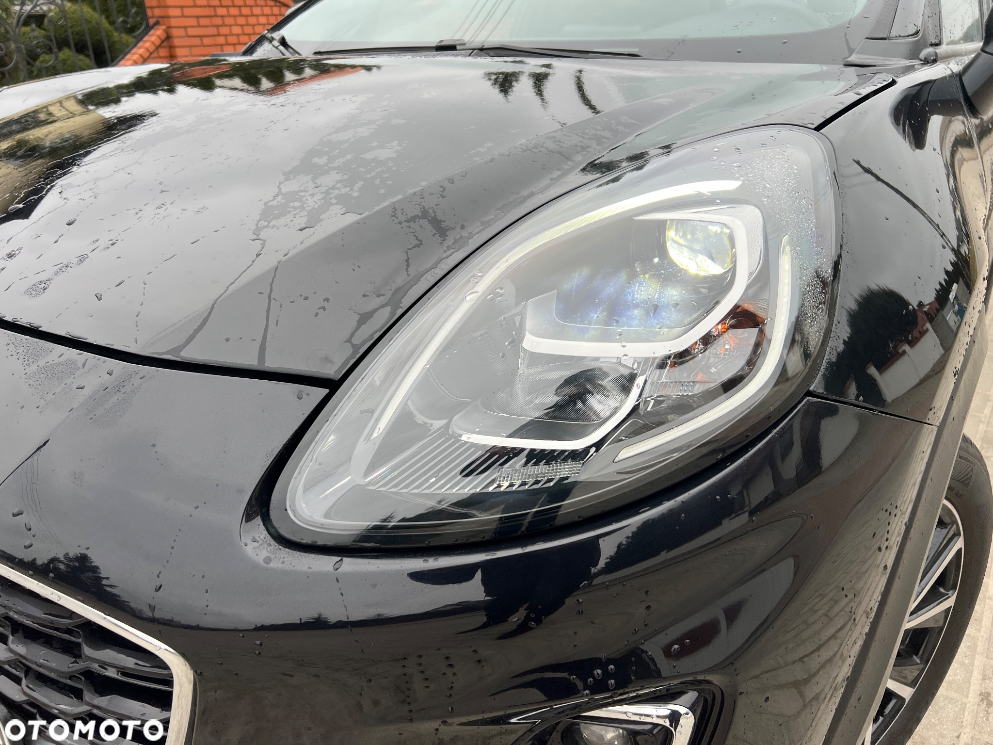 Ford Puma 1.0 EcoBoost mHEV Titanium Design - 2