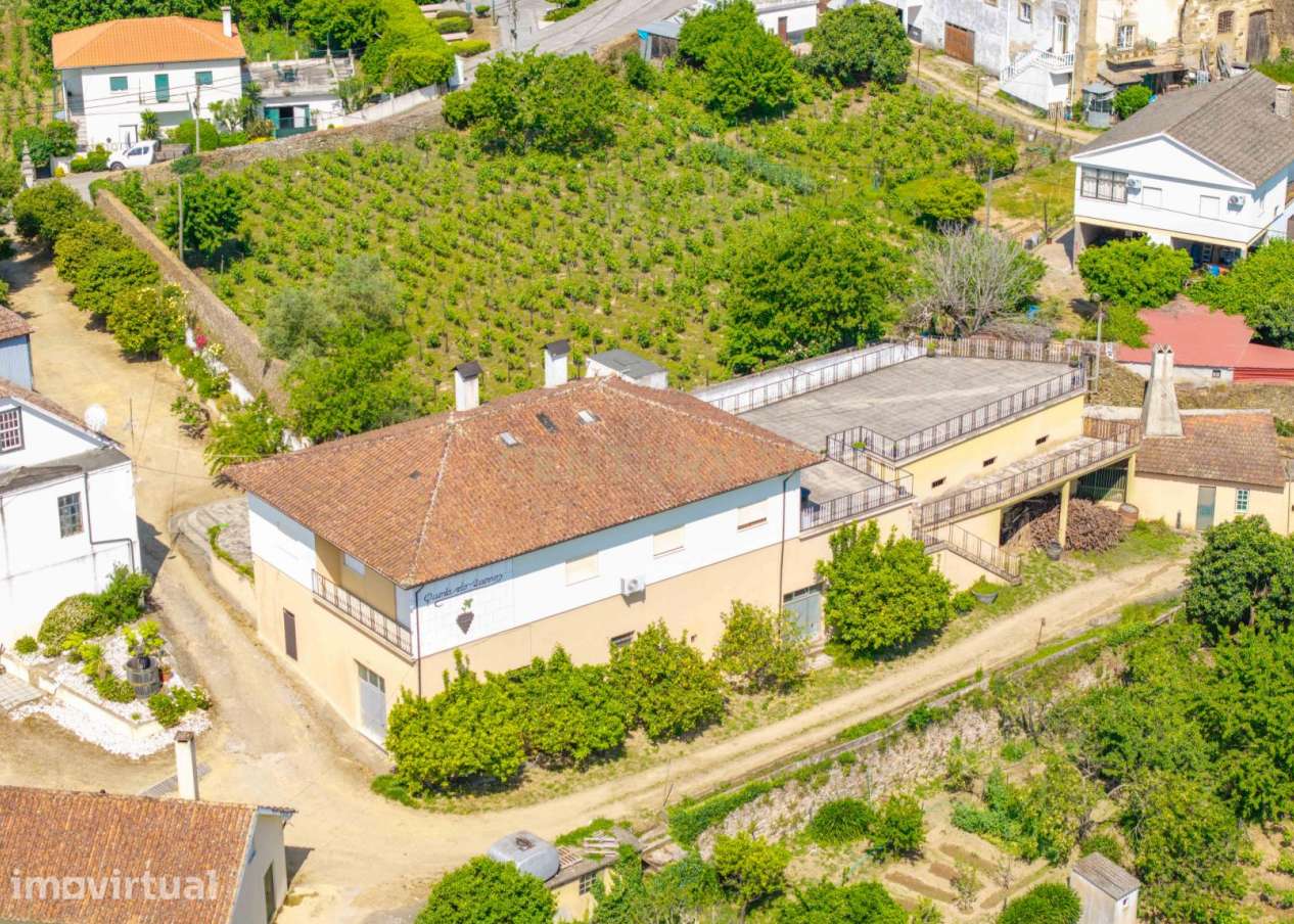 Duas quintas com 30ha para venda em Santa Marta de Penaguião, propried - Grande imagem: 4/37