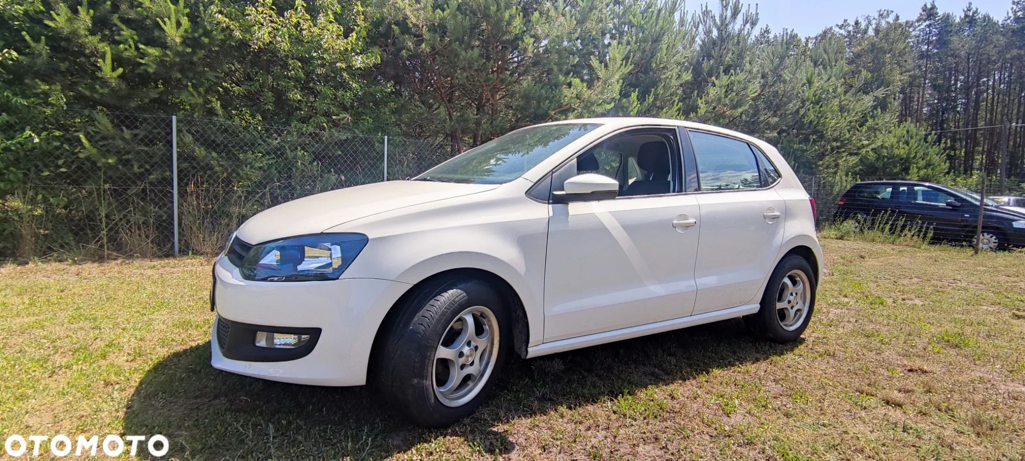 Volkswagen Polo 1.2 TDI Blue Motion 87g - 1
