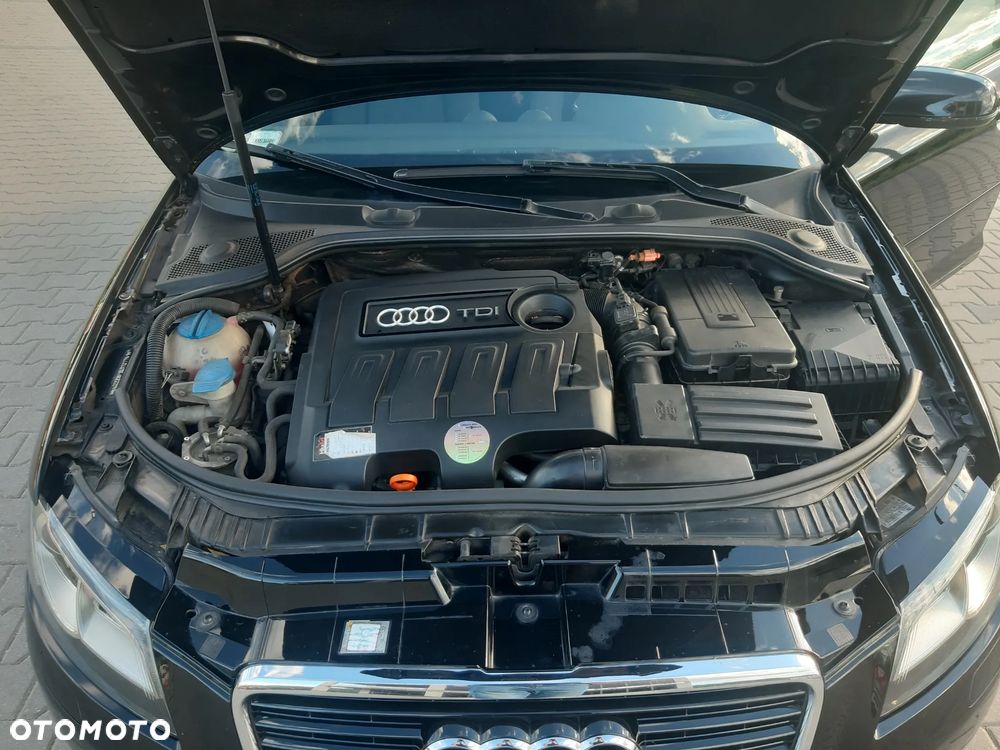 Audi A3 Sportback 1.6 TDI DPF Attraction - 10