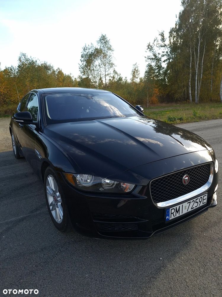 Jaguar Xe 2017 photo 2