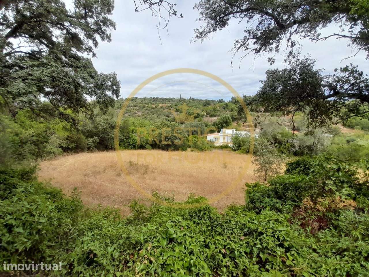 Oportunidade de Investimento: Terreno Agricola de 3.142 m² em Loulé,lo - Grande imagem: 3/7