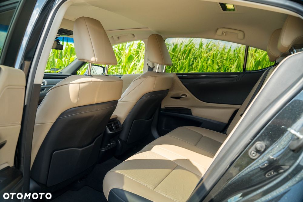 Lexus ES 300h Business Edition + - 15