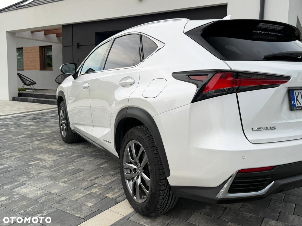 Lexus NX 300h Business Edition AWD - 7
