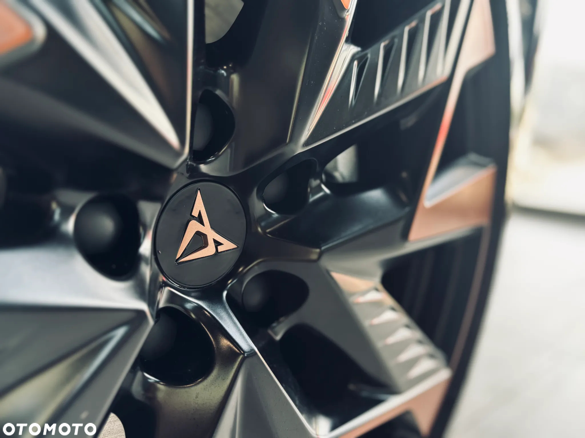 Cupra Formentor 2.0 TSI 4Drive DSG - 13