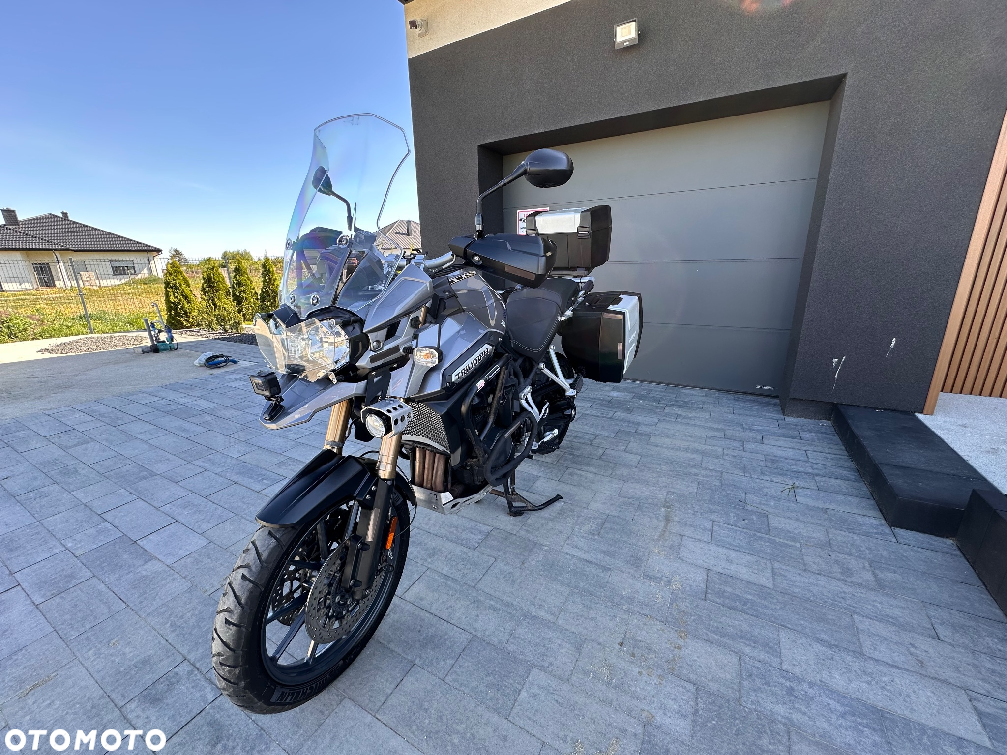 Triumph Tiger - 9