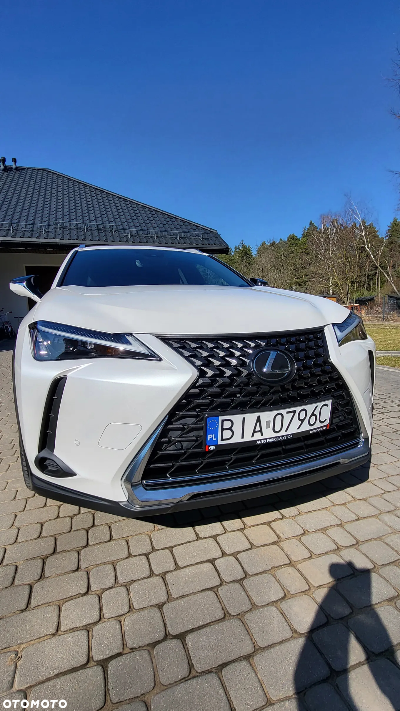 Lexus UX 250h GPF Business AWD - 13