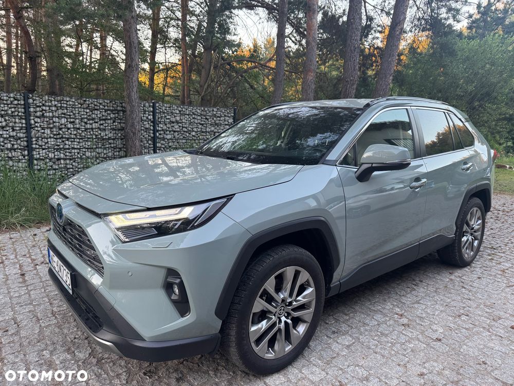 Toyota RAV4 2.5 Hybrid Executive 4x2 - 11