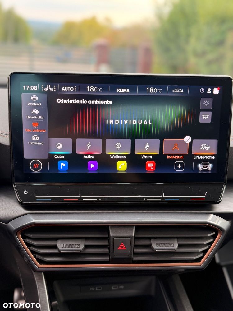Cupra Formentor 2.0 TSI 4Drive VZ Tribe Edition DSG - 33