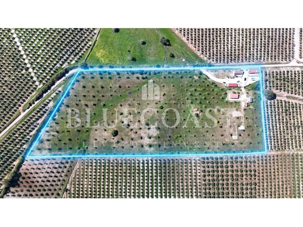 Quinta de charme em zona tranquila, Beja - Grande imagem: 2/21