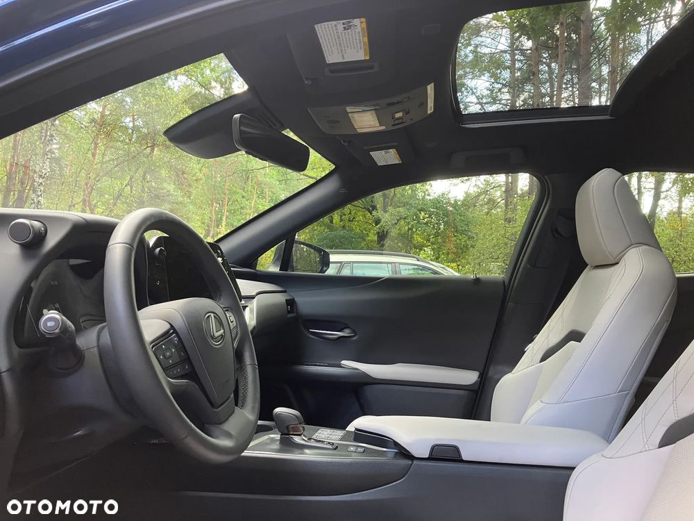Lexus UX 300h - 22