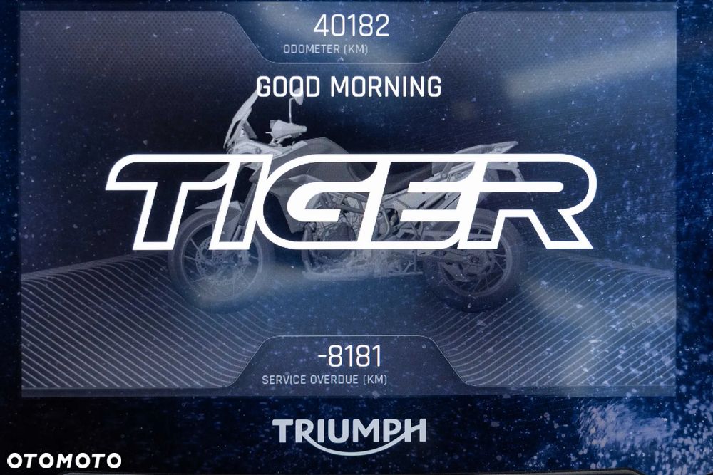 Triumph Tiger - 26