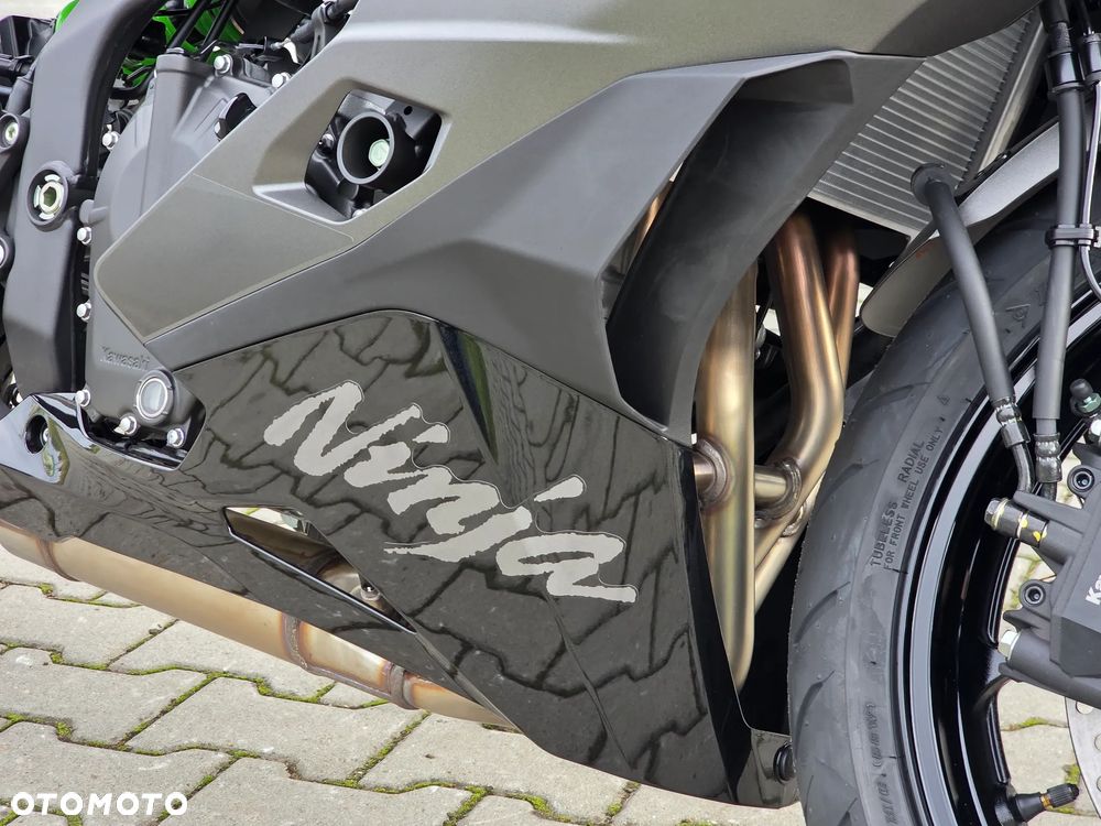 Kawasaki Ninja - 9