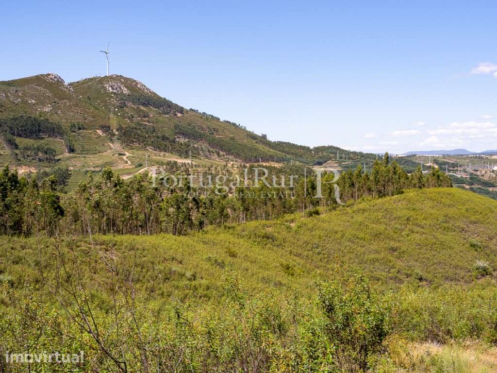 Terreno de 14,5ha com Viabilidade para Construção - Grande imagem: 5/22