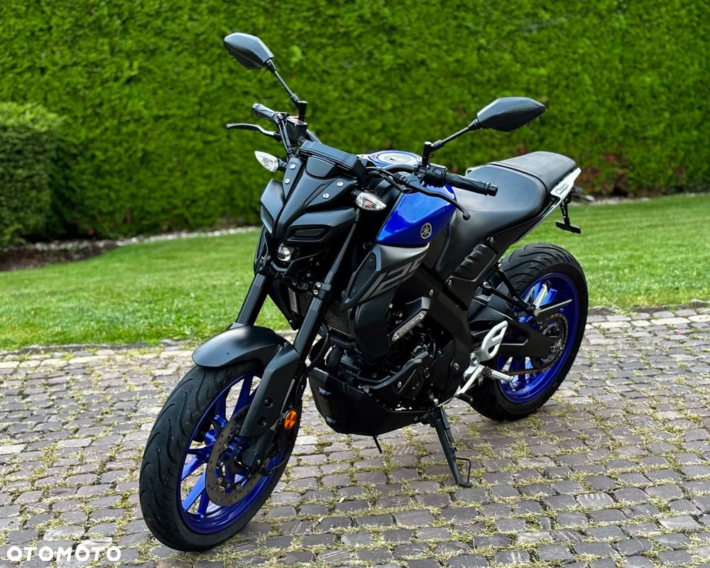 Yamaha MT - 6