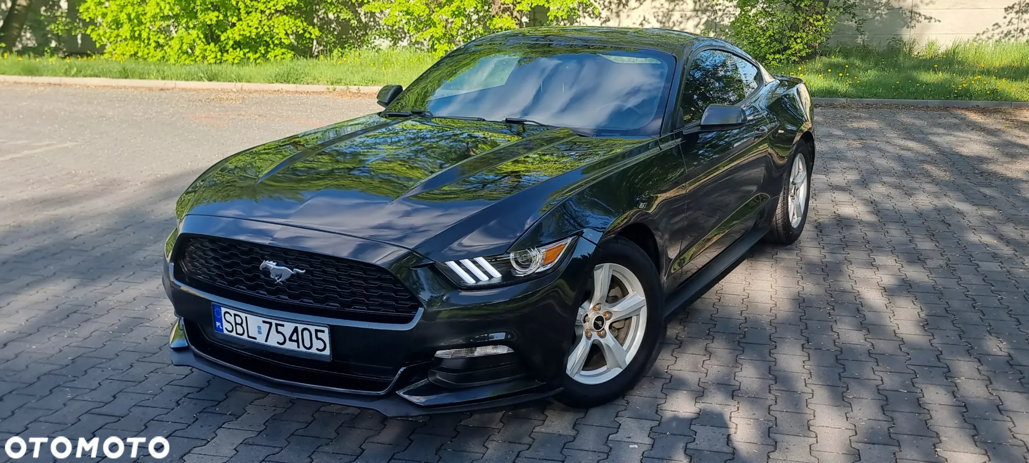 Ford Mustang - 2