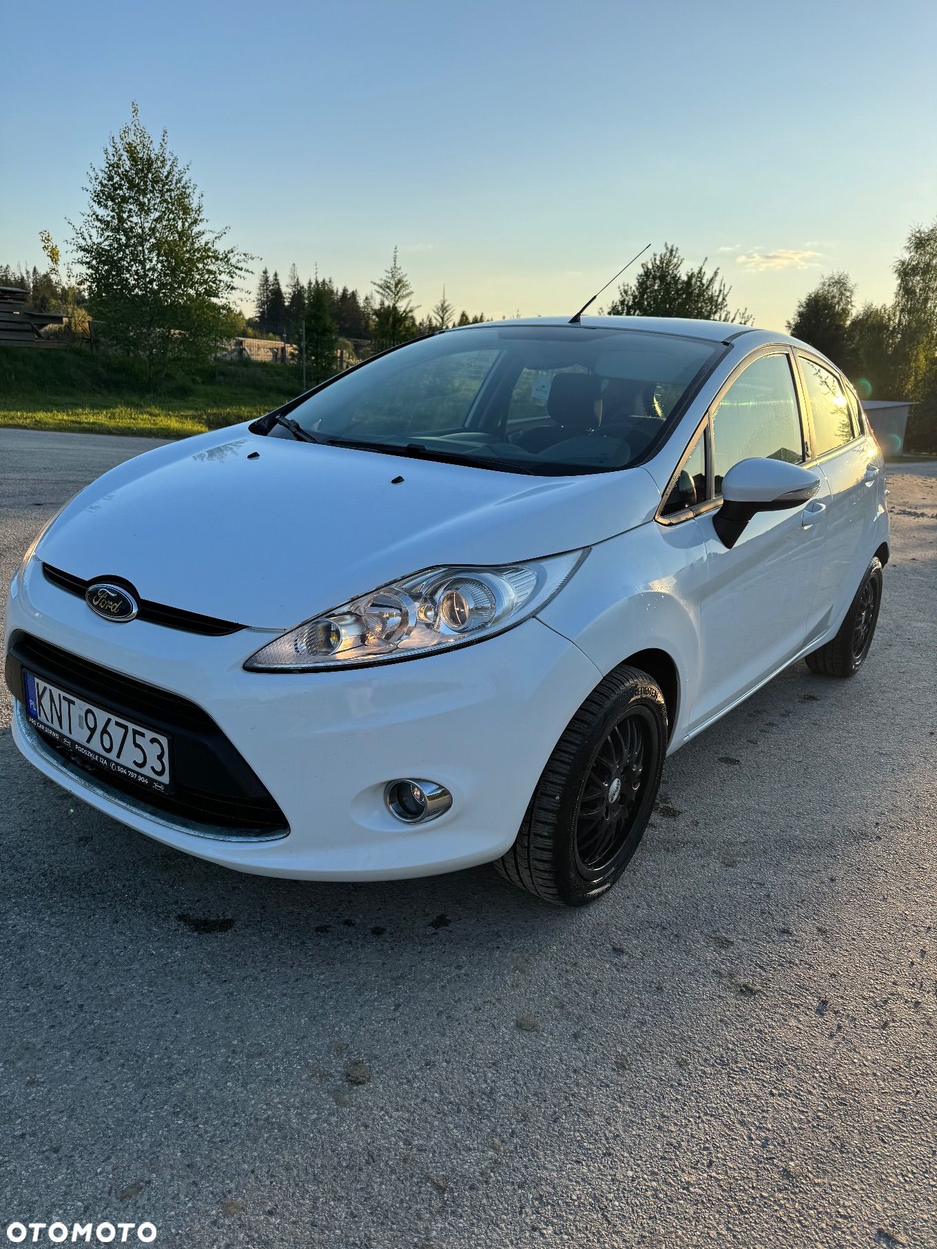 Ford Fiesta - 1
