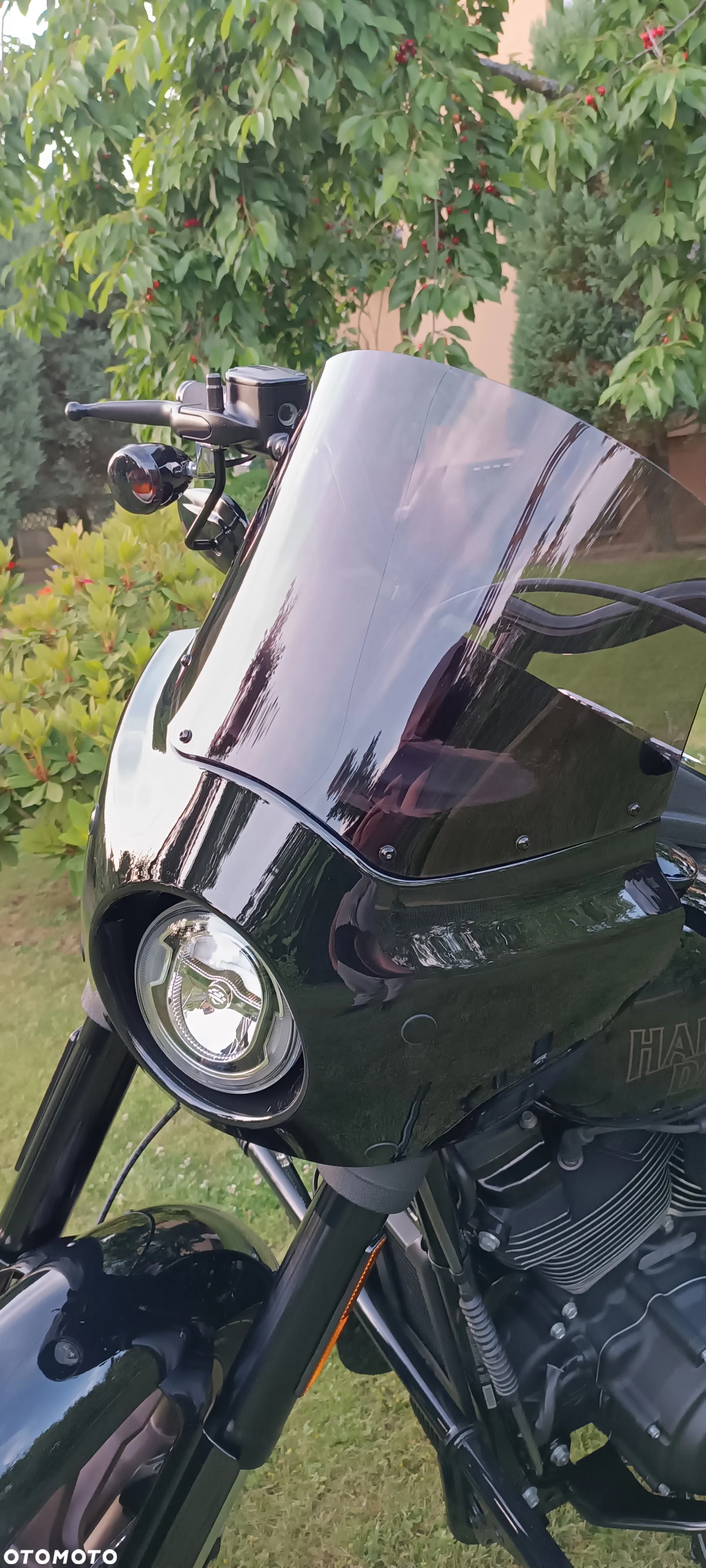Harley-Davidson Softail Low Rider - 10