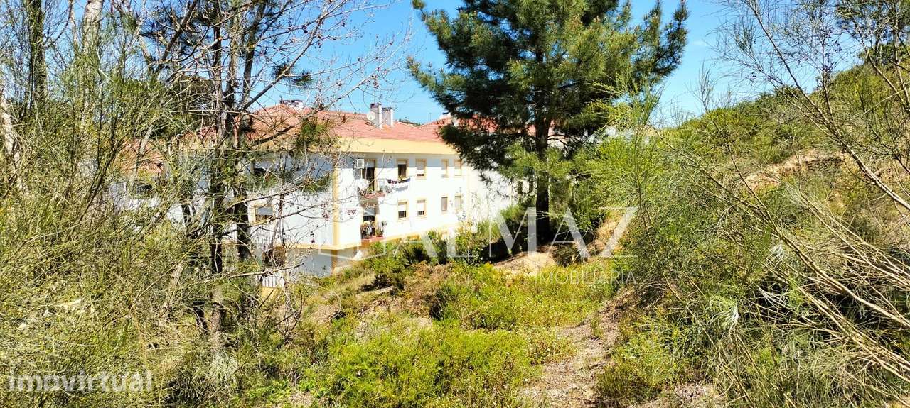 Lote de terreno a 3 kms da cidade de Santarém, no coração da... - Grande imagem: 4/10
