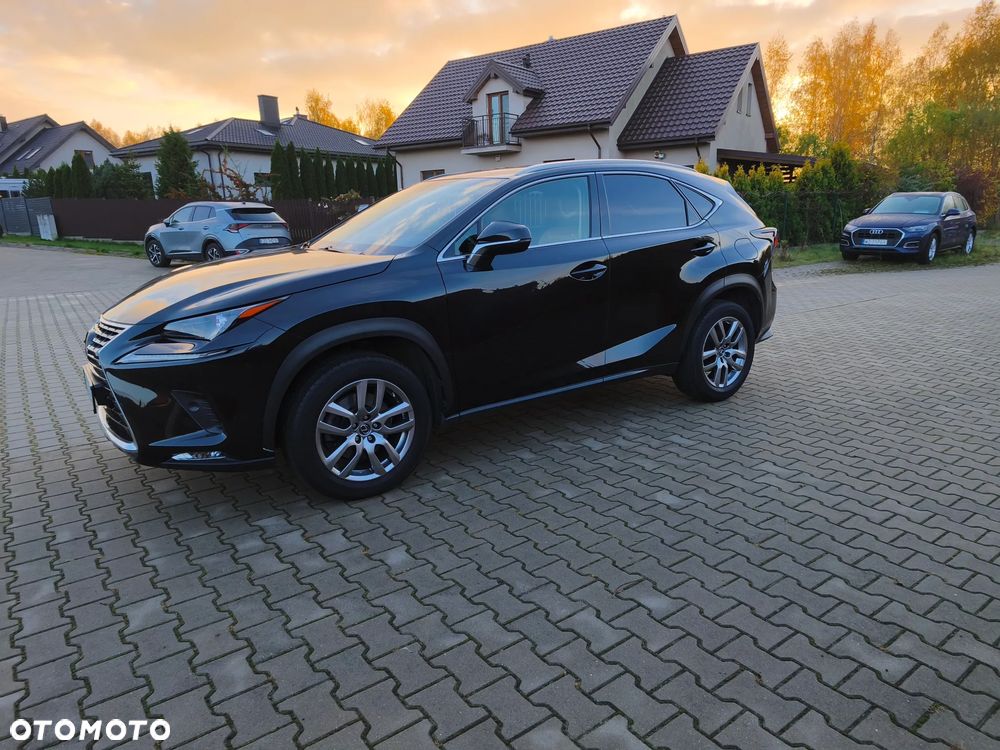 Lexus Nx 2018 photo 5