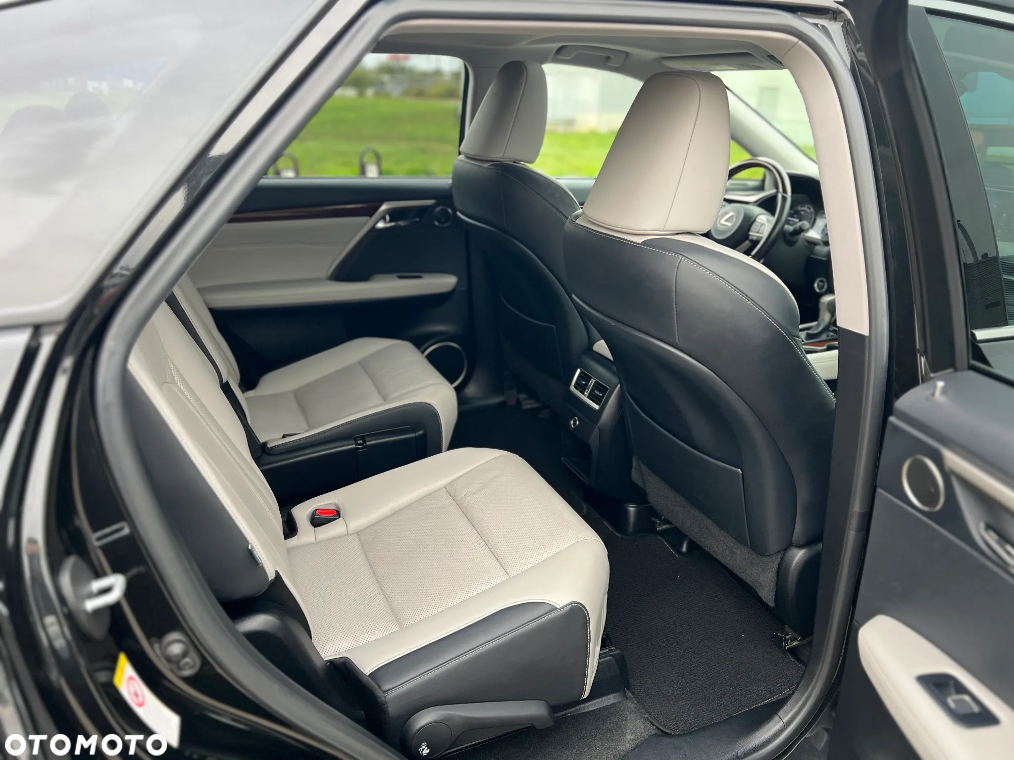 Lexus RX 350h (hybrid) Luxury Line - 23