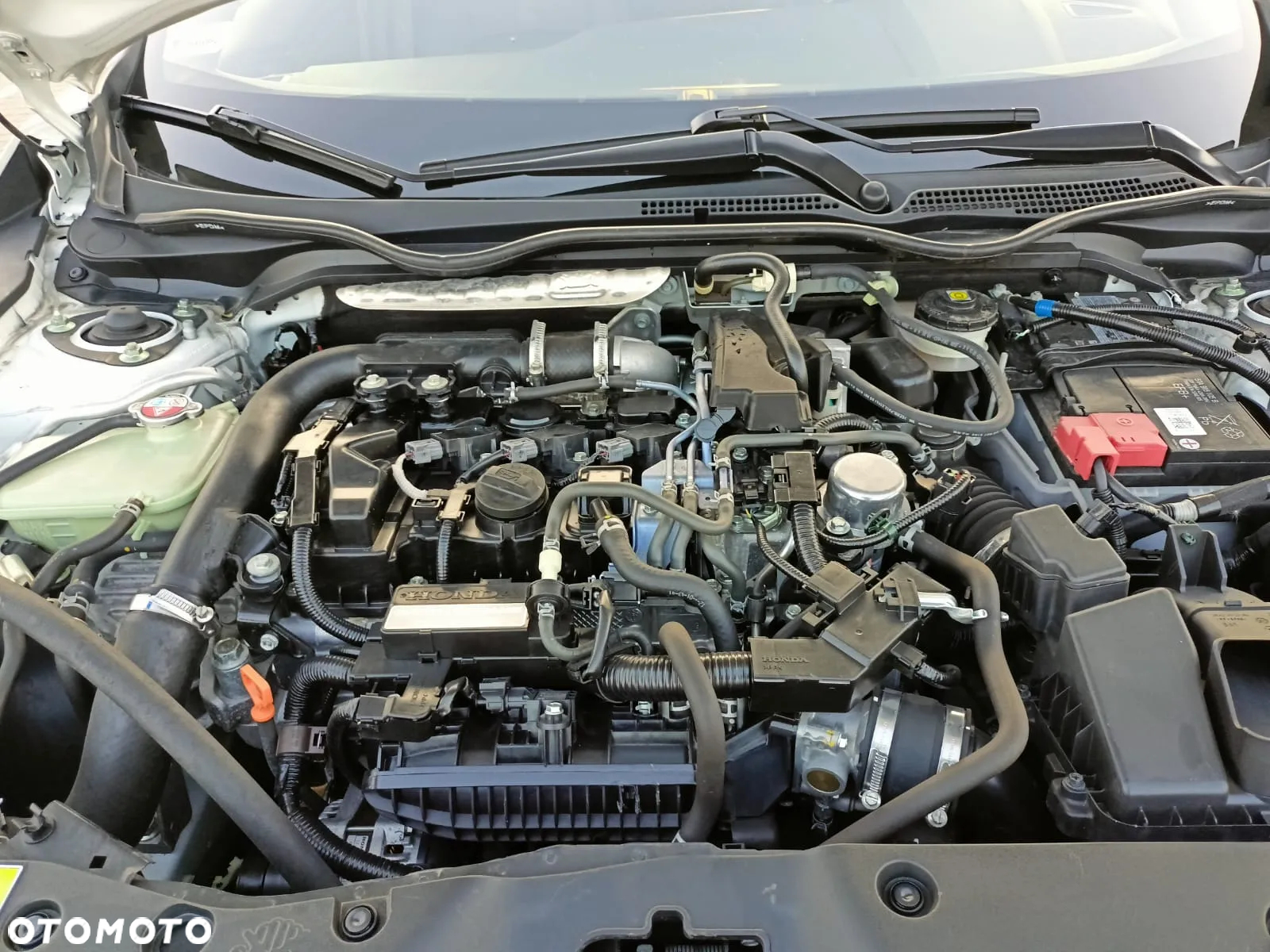 Honda Civic 1.0 i-VTEC Turbo CVT Dynamic Limited Edition - 6