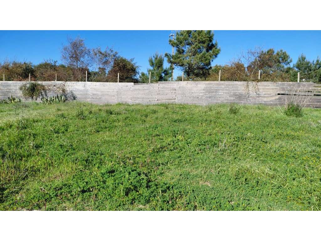 Terreno Rústico em Milfontes - Grande imagem: 5/16