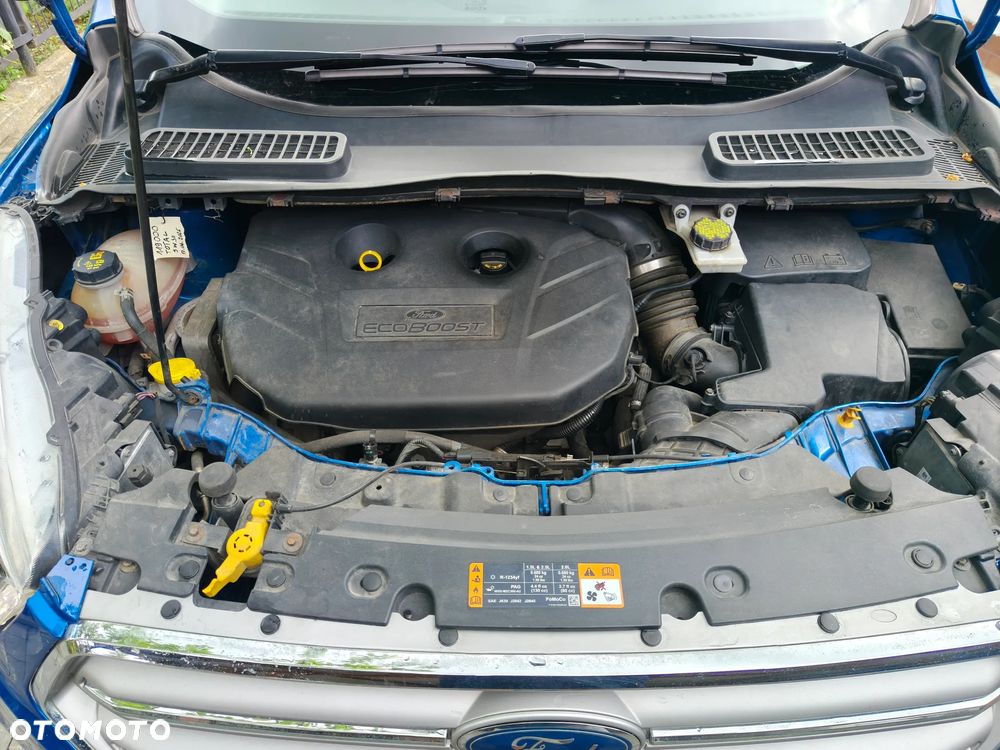 Ford Escape - 4