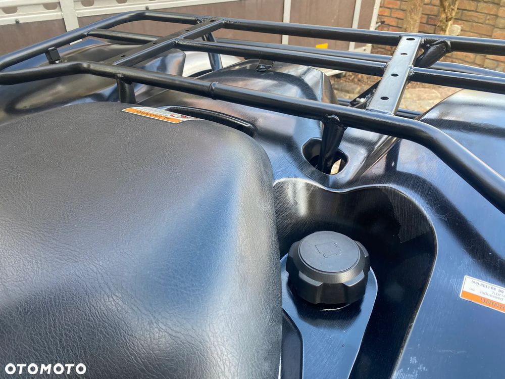 Suzuki Kingquad - 35