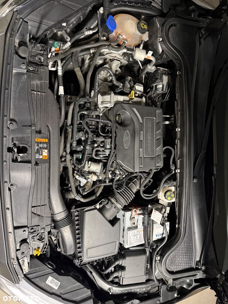 Ford Focus - 16
