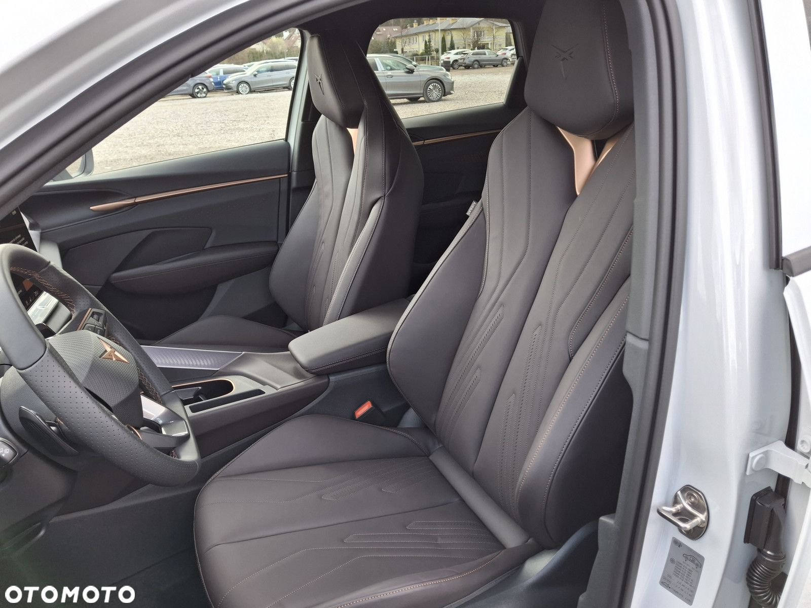 Cupra Terramar - 11