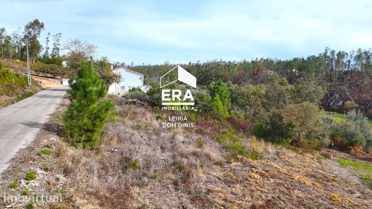 Terreno, 8 593 m², Santiago e São Simão de Litém e Albergaria dos Doze - Grande imagem: 5/14