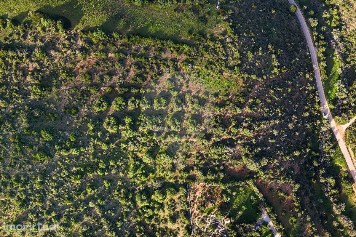 Terreno  para venda - Grande imagem: 5/8