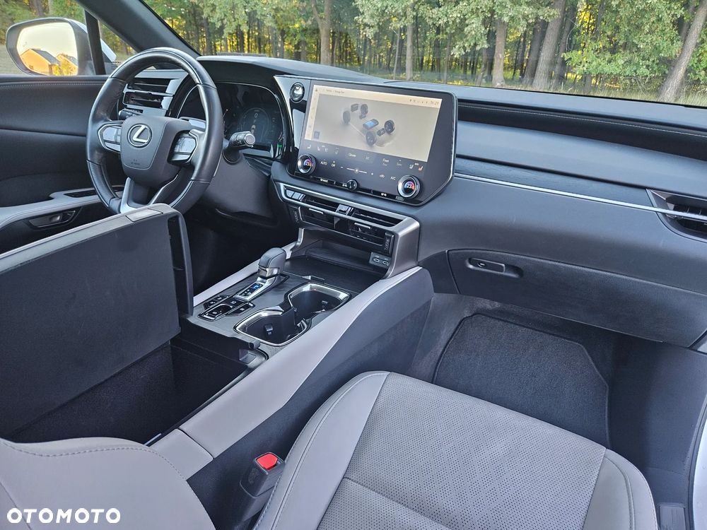 Lexus RX - 17
