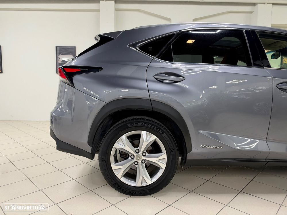 Lexus NX 300h Executive Plus - 5