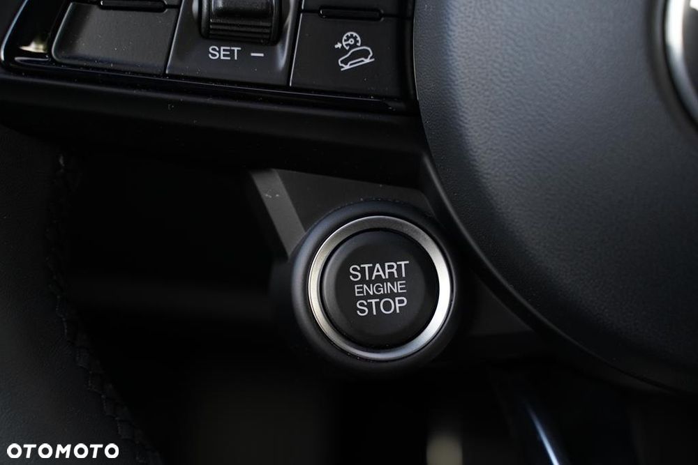 Alfa Romeo Stelvio 2.0 Turbo Veloce Q4 - 18