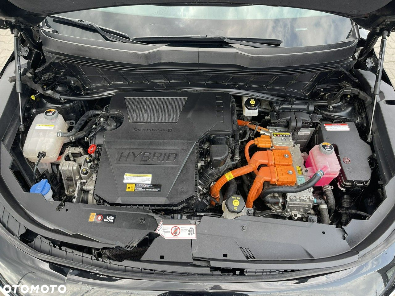 Kia Niro 1.6 GDI HEV 2WD OPF Vision - 12