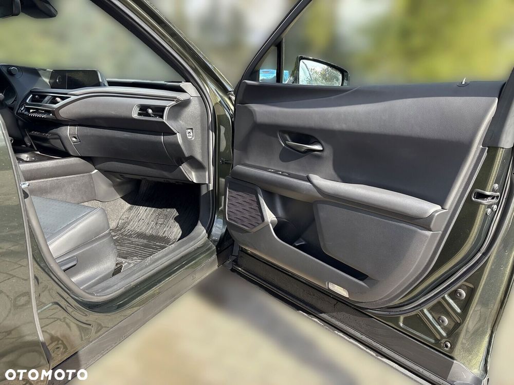 Lexus UX - 19