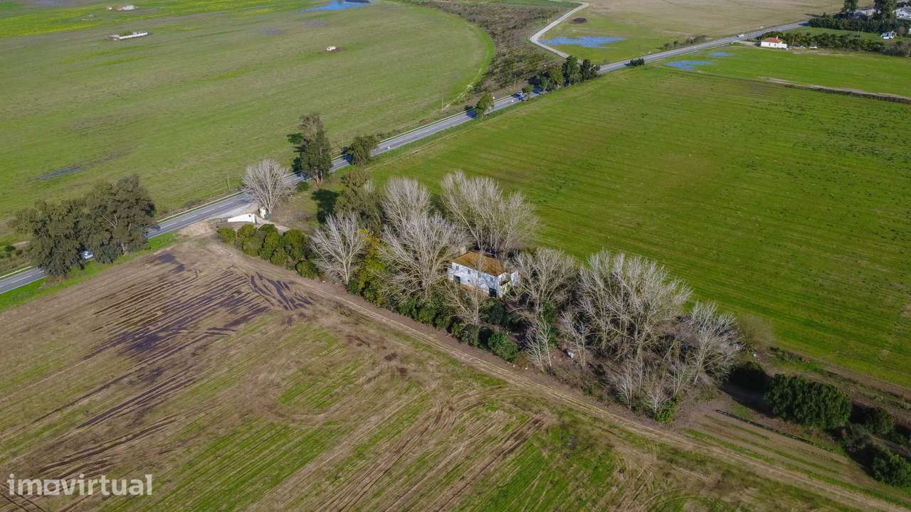 Quinta 25ha com rendimento e Alojamento Local - Grande imagem: 2/47