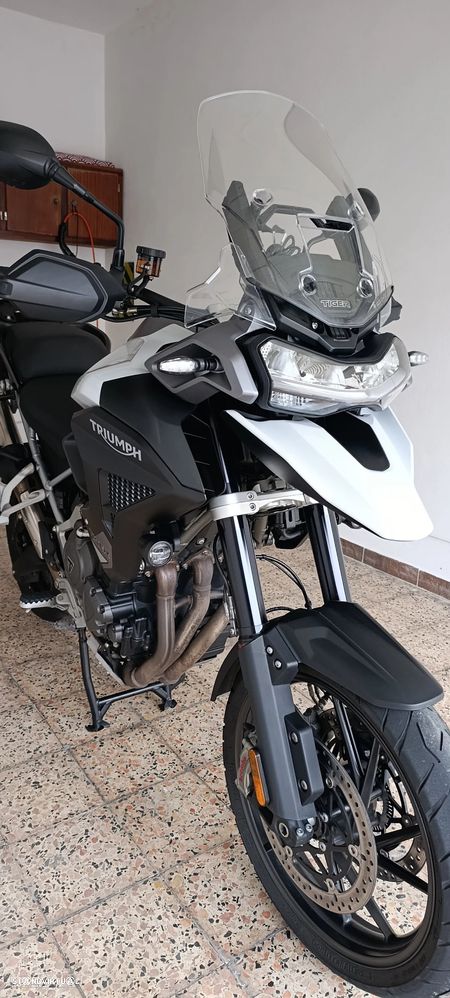 Triumph Tiger GT PRO - 1