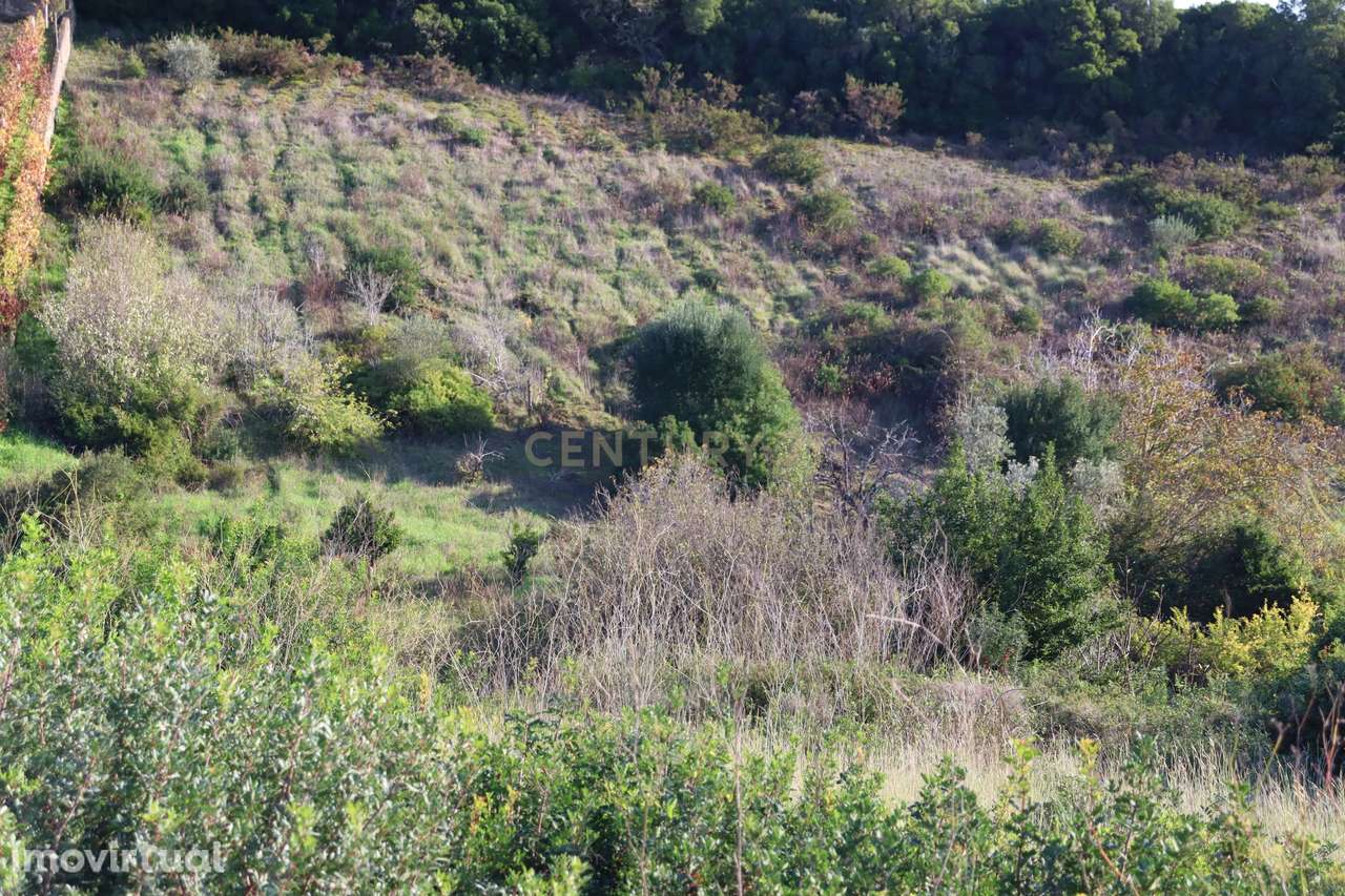 Terreno urbano com casa em ruína na Bemposta, Bucelas - Grande imagem: 5/23