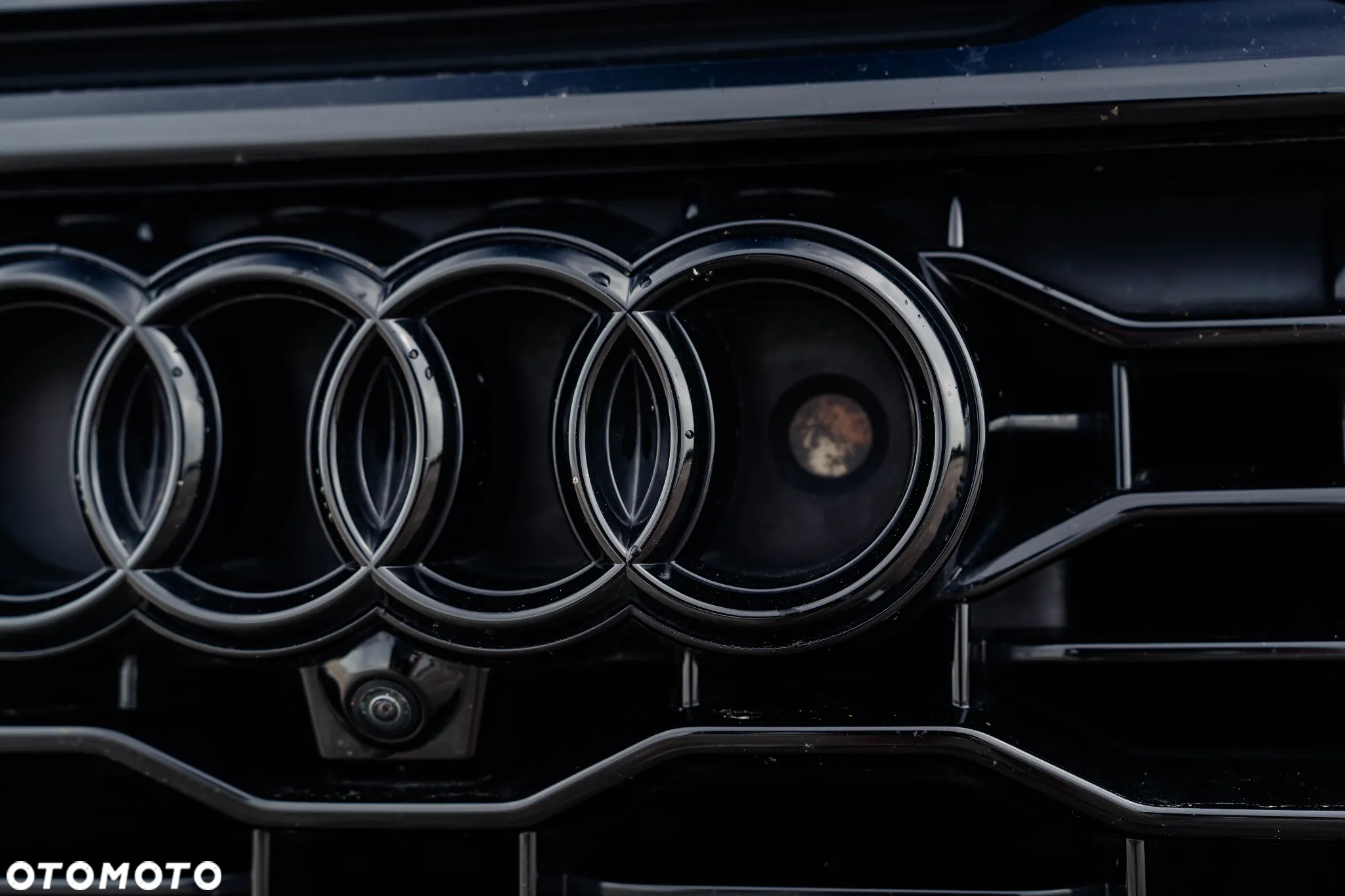 Audi RS Q8 - 17