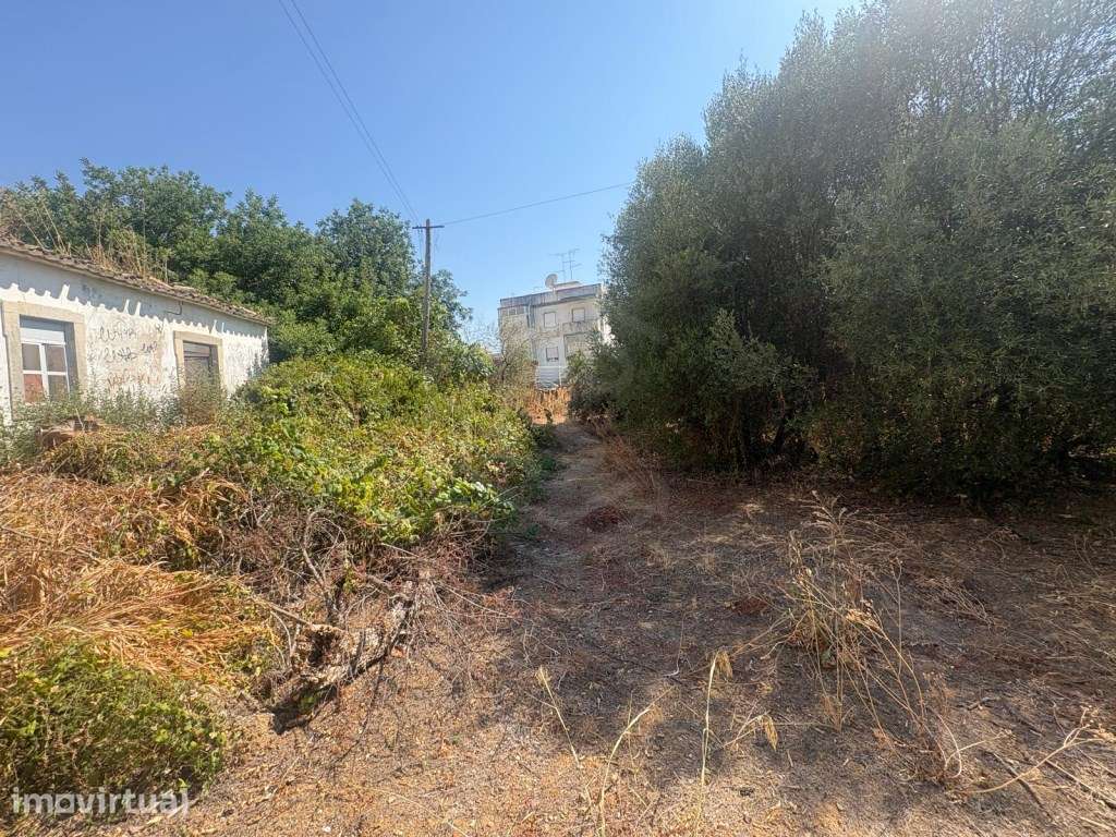 Terreno misto com potencial, Loulé, Algarve - Grande imagem: 3/16