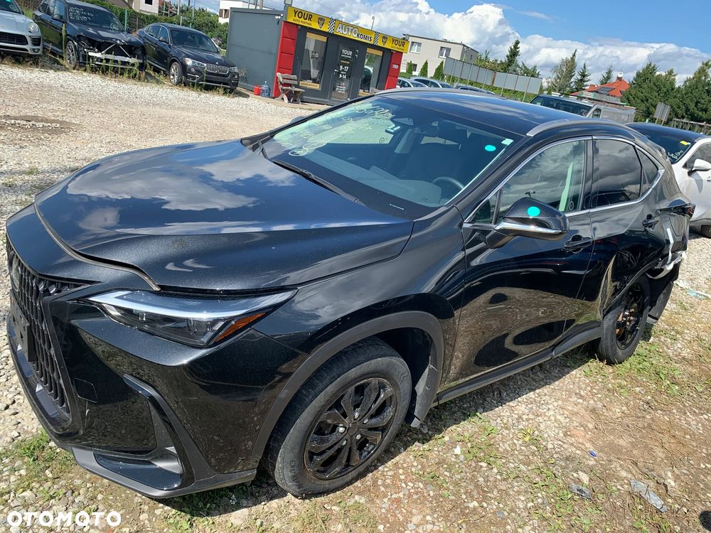 Lexus NX - 6