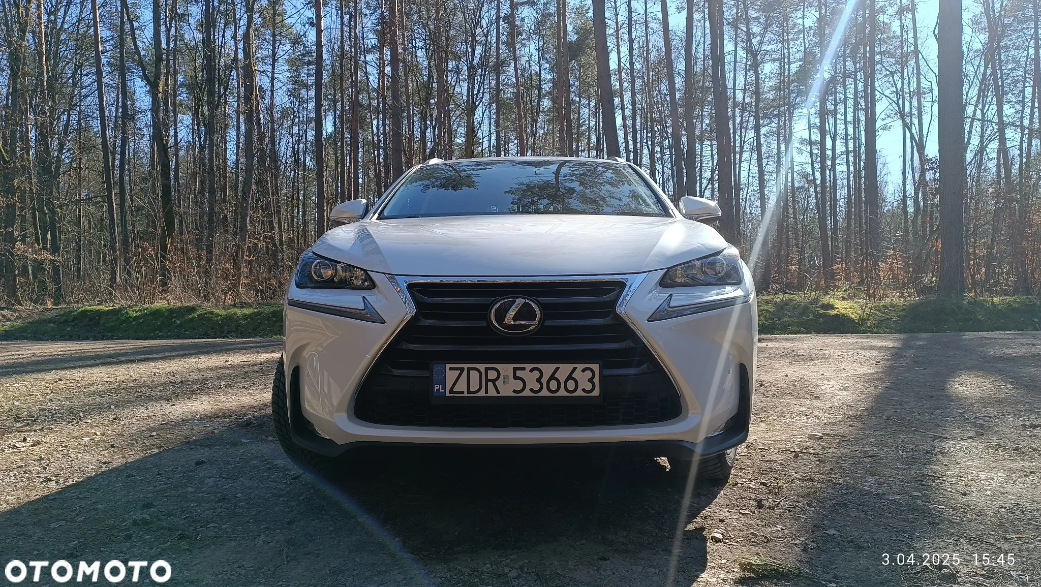 Lexus NX 200t Comfort AWD - 7