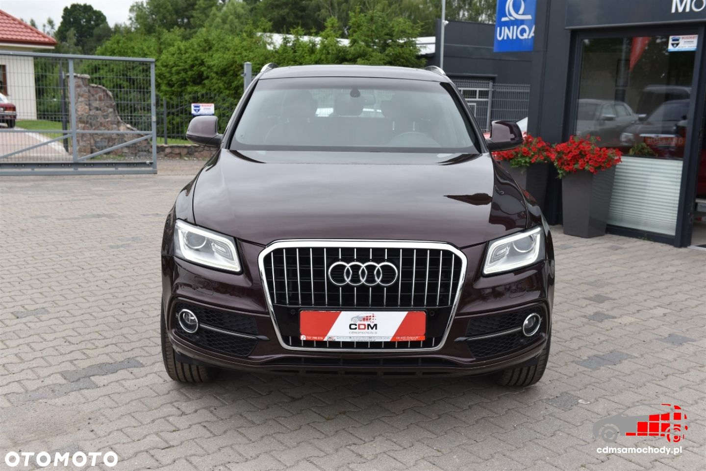Audi Q5 - 5