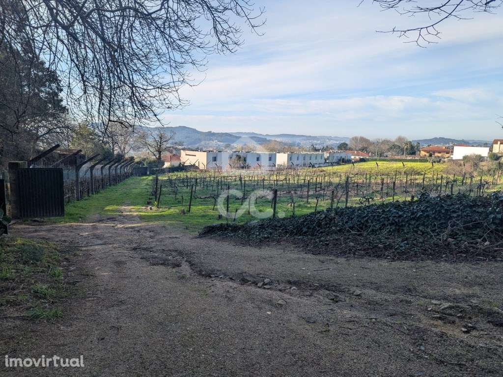 Terreno rústico com 8.000m2 - Grande imagem: 3/19