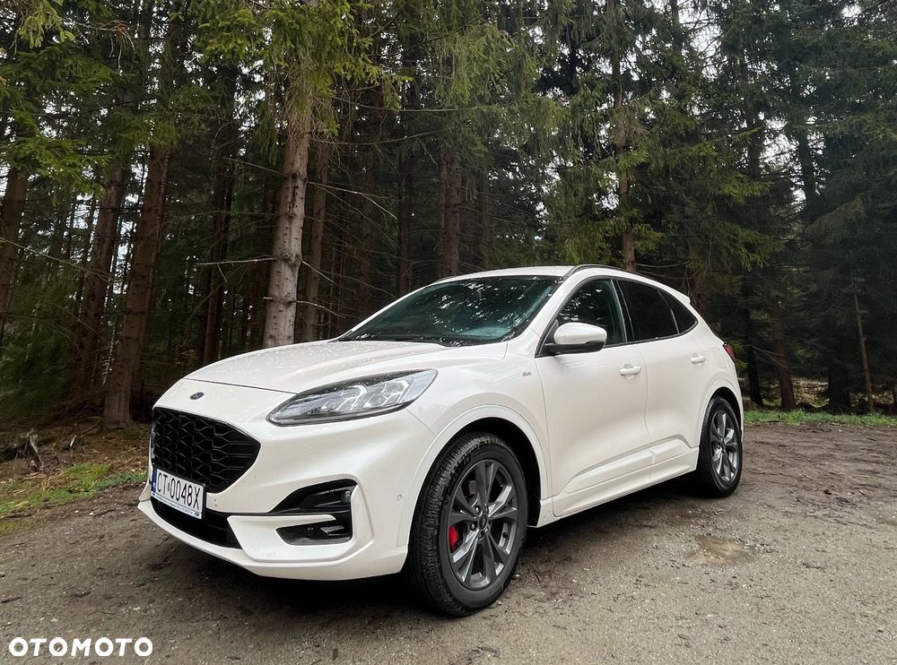 Ford Kuga 2.0 EcoBlue AWD ST-Line - 2