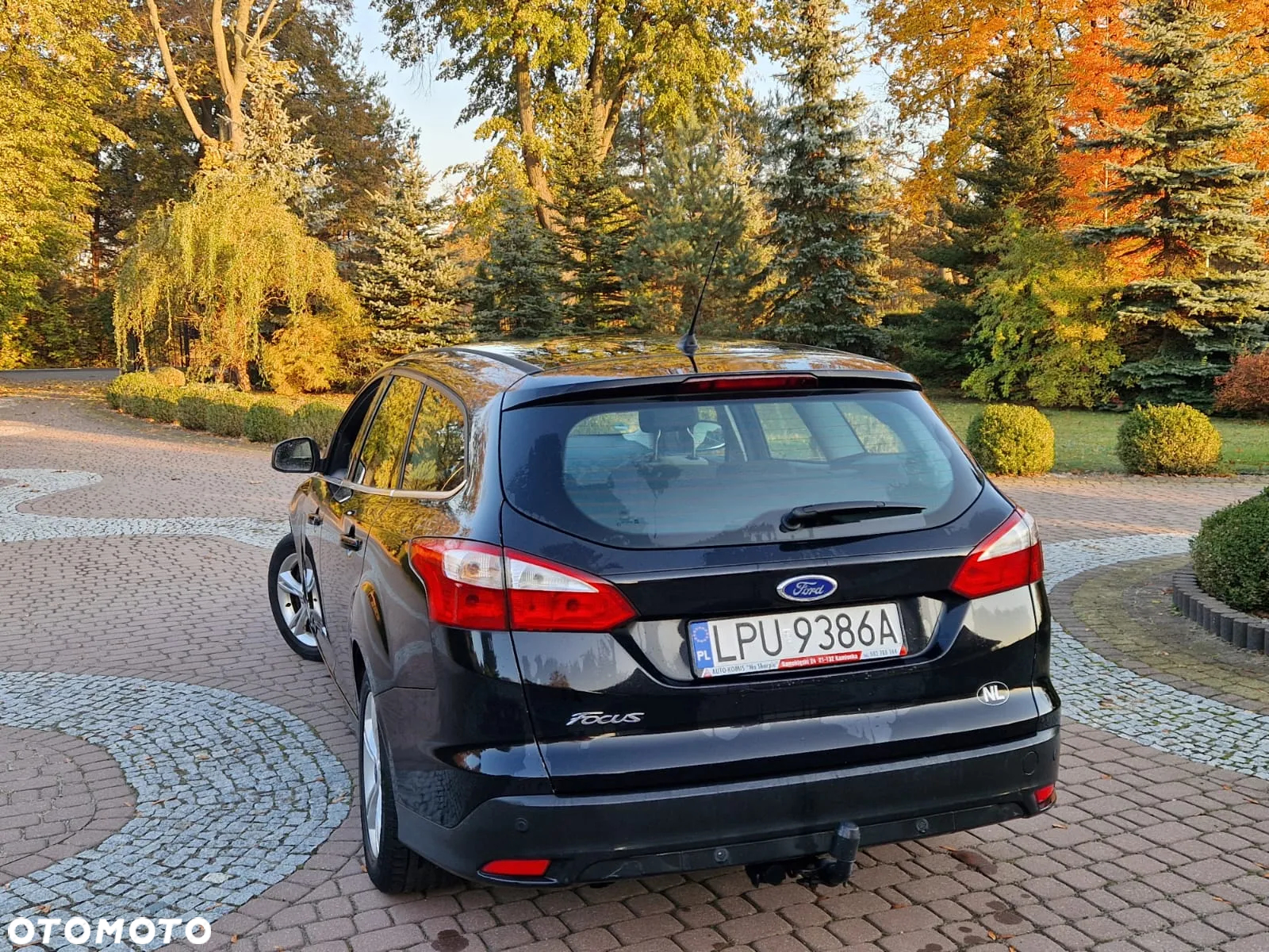 Ford Focus - 17