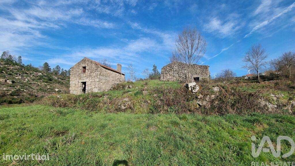 Terreno Agrícola em Cortiçô da Serra, Vide entre Vinhas e Salgueirais - Grande imagem: 2/36